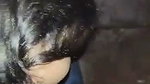 Neighbor boy fucking hard