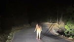 Hot Indian girl walking nude on the road