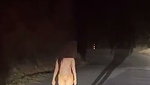 Hot Indian girl walking nude on the road