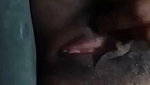 Hot girl undress show pink pussy