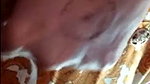 Pakistani boyfriend seeing her girl friend boob and talking in vc