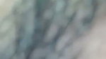 5 6080136037009464407