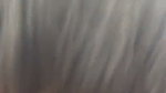 5 6075467596537274052