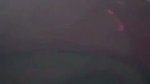 Bengali Horny Village Milf Showing Masturbating