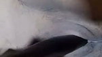 Bengali Horny Village Milf Showing Masturbating