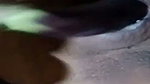 Bengali Horny Village Milf Showing Masturbating