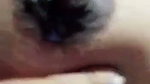 Horny Boudi Showing Spread Hairy Pussy