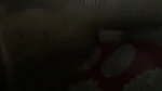 Cute neighbor Bengali girl riding dick of boyfriend FSI Blog 0061cc