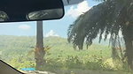 Young Girl Nude Blowjob Inside Car