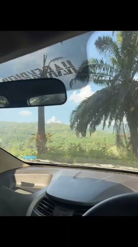 Young Girl Nude Blowjob Inside Car