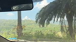Young Girl Nude Blowjob Inside Car