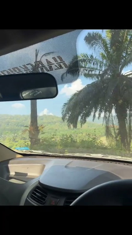Young Girl Nude Blowjob Inside Car