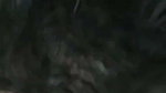 Big Boobs Mallu Girl Pressing Boobs Sucking Dick Hard Fucking