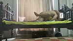 aunty fucking hard on the bed
