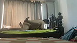 aunty fucking hard on the bed
