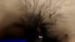 Desi Sluts  first time
