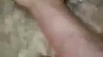 Desperate Desi Daddy