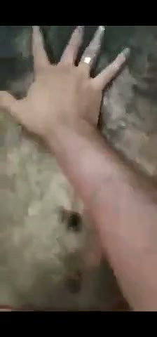 Desperate Desi Daddy