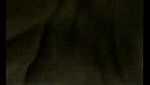 indian  couple kissing romance porn
