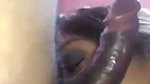 Desi girl sucking boyfriend dick