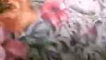 Indian girl blowjob first time