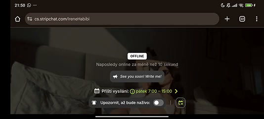 IreneHabibi Stripchat Show