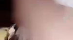 VID 20260329 WA0004