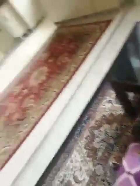 VID 20260329 WA0015