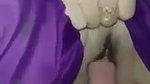 VID 20260406 WA0006