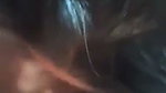 bj to desi bbc