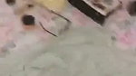 insta girl nude show