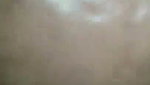 hairy pussy gf fucked