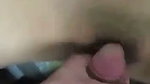 shaved pussy gf fucked