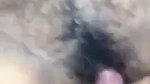 hairy pussy gf fucked
