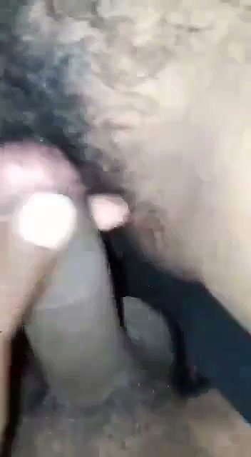 hairy pussy gf fucked