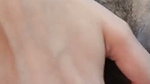 Hairly pussy is fingering hard