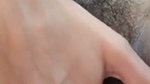 Hairly pussy is fingering hard