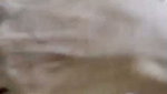 VID 20260523 011853 549