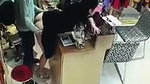 VID 20260523 WA0211
