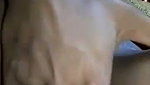desi girl fingering pussy wet