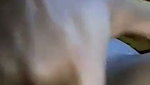 desi girl fingering pussy wet