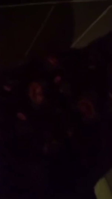 Punjabi Girl Nude Captured Giving Blowjob
