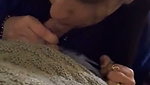 Beautiful Sexy Milf BJ Old New Update