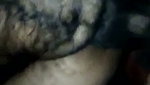 Hairy pussy fucked hard