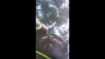 Girlfriend fuck hard with bf  moan in jungle