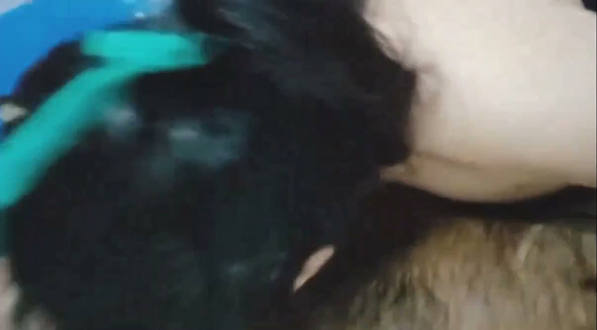 Horny desi Indian couple homemade sex video   Hard fucking video