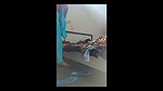 Sexy girl fuck with bf
