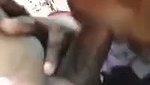 Tamil bhabhi giving Blowjob in jungle area