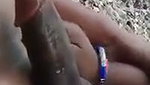 Tamil bhabhi giving Blowjob in jungle area