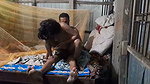 Muslim man fuck neighbor aunty